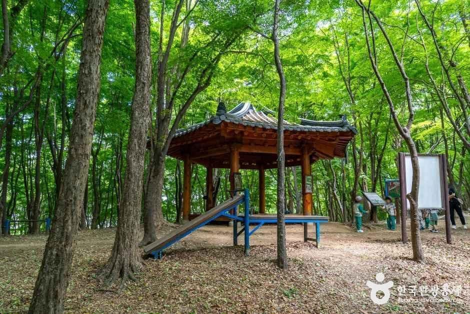 전주_건지산 (4).jpg