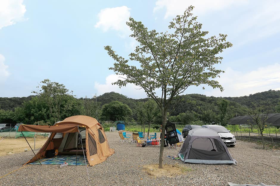 코끼리관광농원캠핑장 사진 2