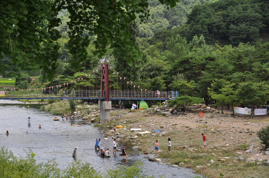 경남_산청군_송정숲_전경 (2)