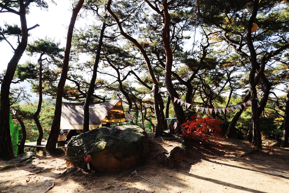 경기_고양시_북한산농바위야영장 (2)