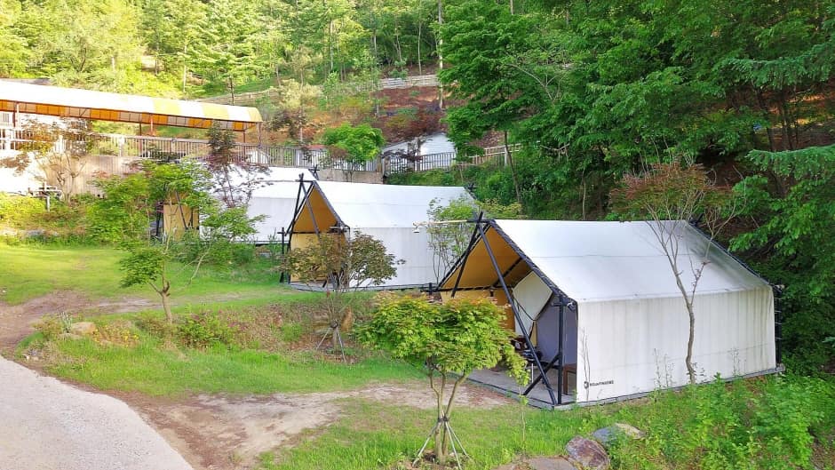 충남_청양군_알프스휴양림_풍경5