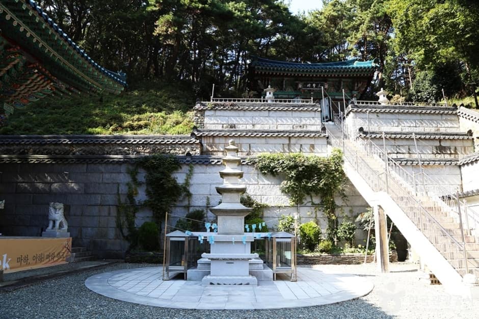 마하사 (9)