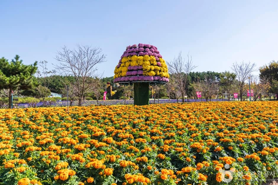 꽃지해안공원 (15)