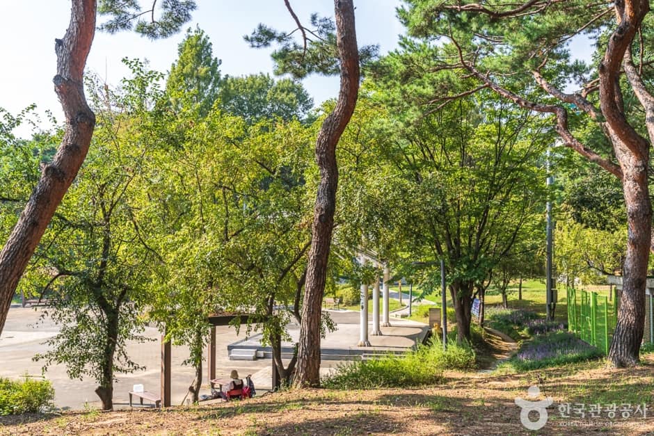 청주 발산공원 (14)