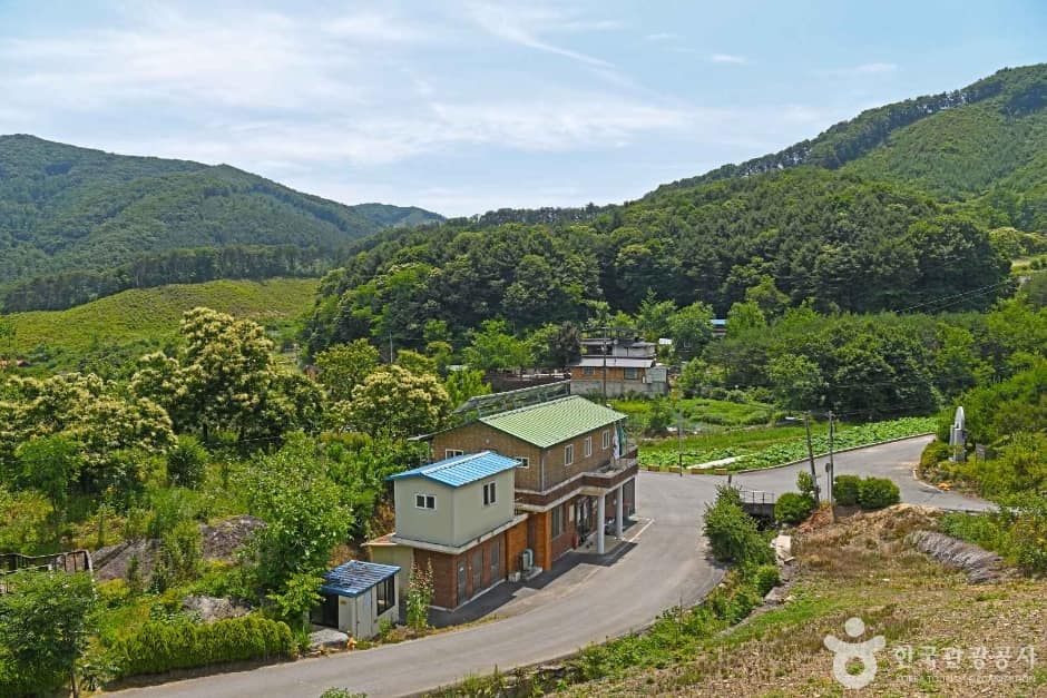 보련마을 (6)