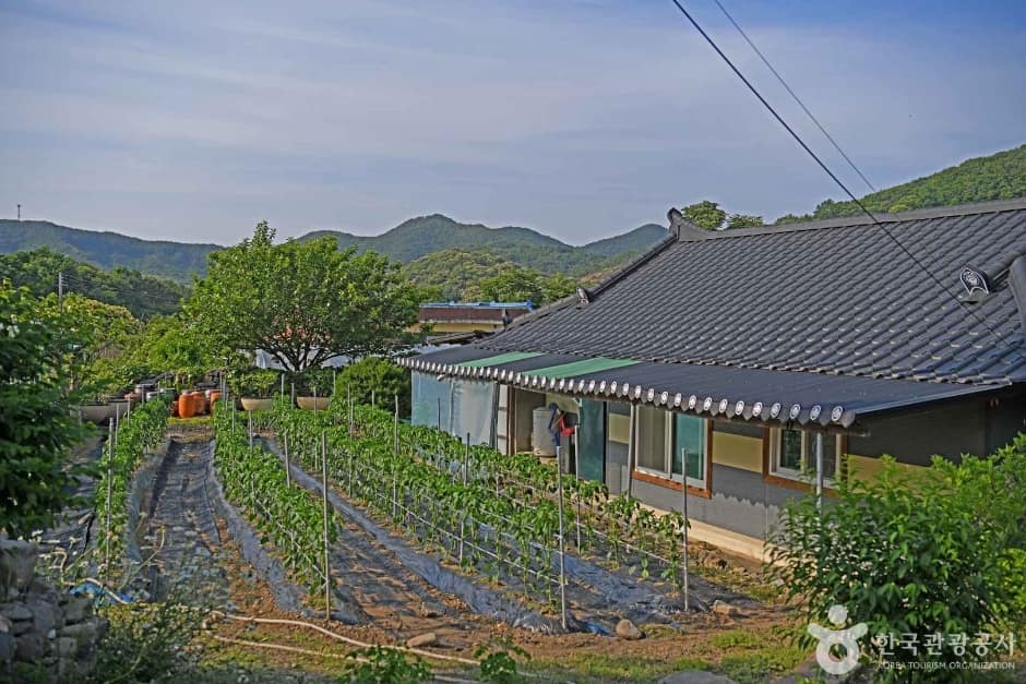 부여 반교마을 (2)