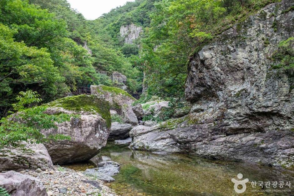 청송_용절골협곡(청송국가지질공원) (5)