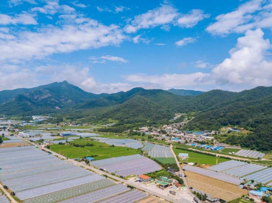 성주_영암산 (3)