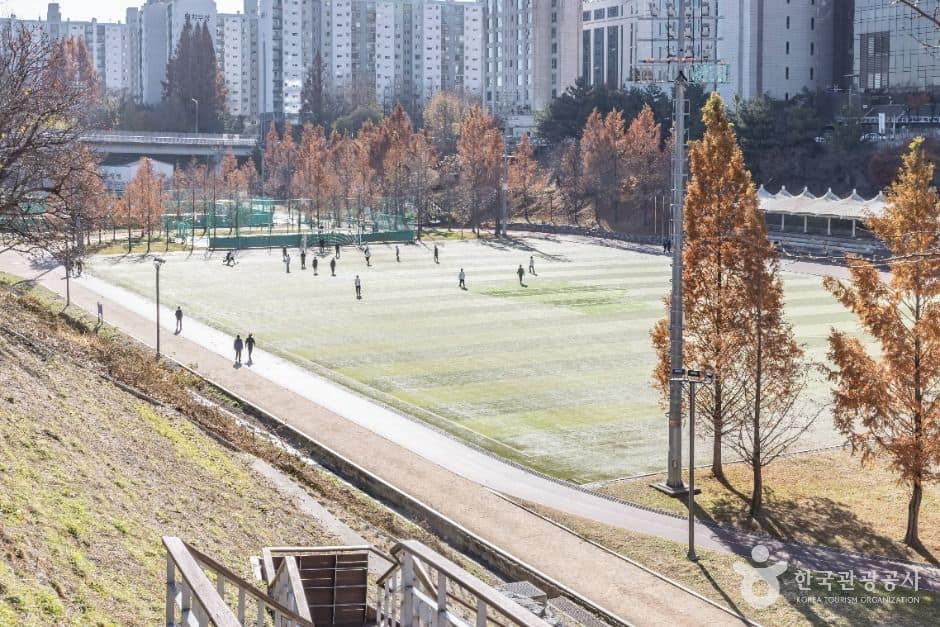 서울강남_대치유수지체육공원 (1)