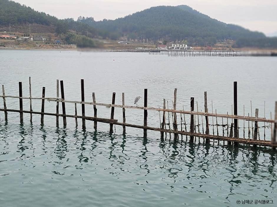 남해_창선교와 원시어업 죽방렴_2
