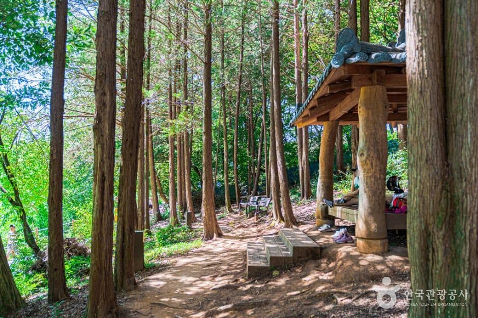 전주_오송제 (7)