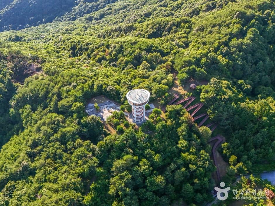 예천_소백산하늘자락공원 (2)