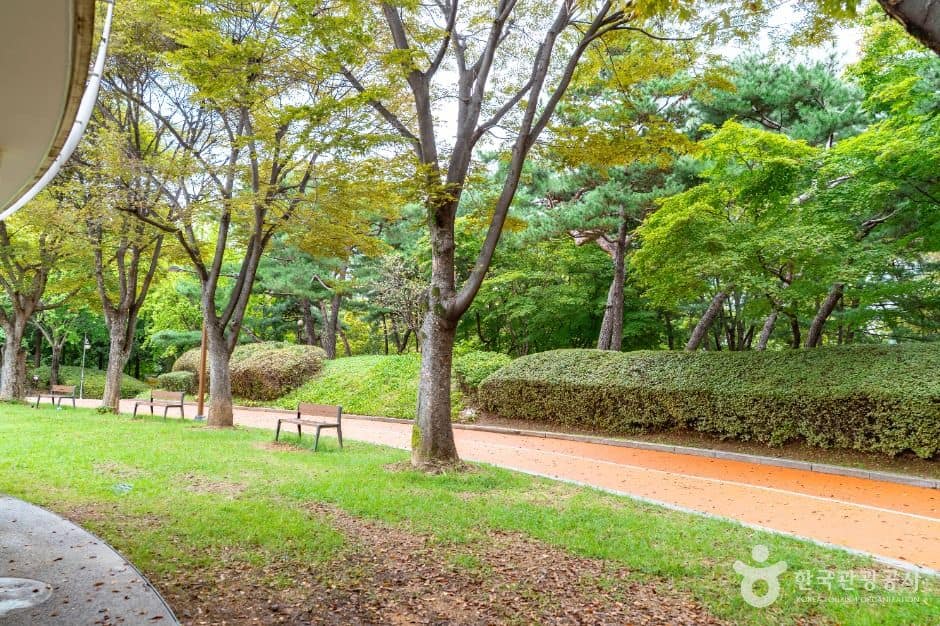 서울_신트리공원(서울) (6)