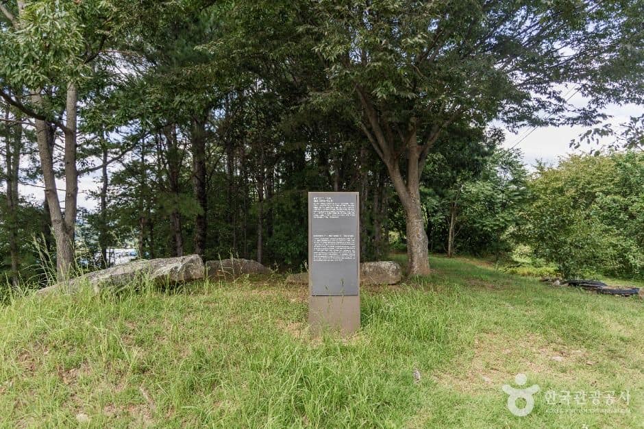 금산_금산 천내리용화리 고인돌 (4)