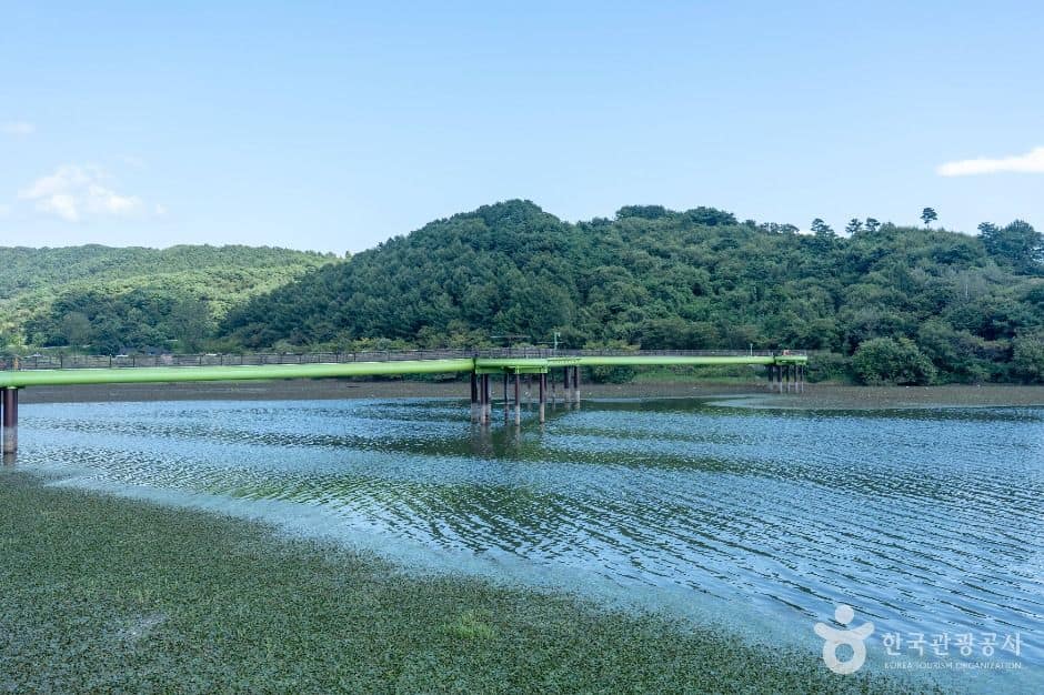 서천_봉선저수지 (3)