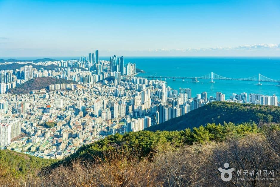 부산_금련산 (1)
