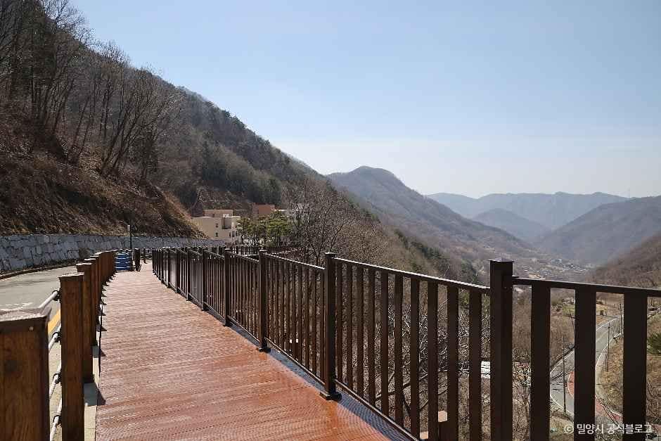 밀양_밀양 도래재 자연휴양림 (5).jpg