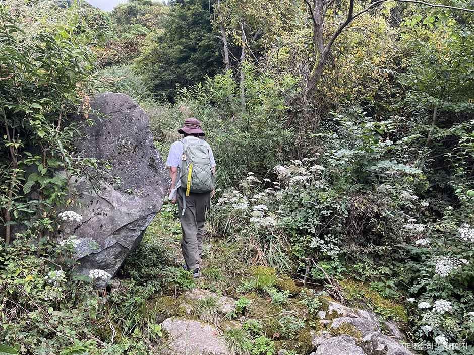 하동_[지리산둘레길] 대축~원부춘 (7).jpg