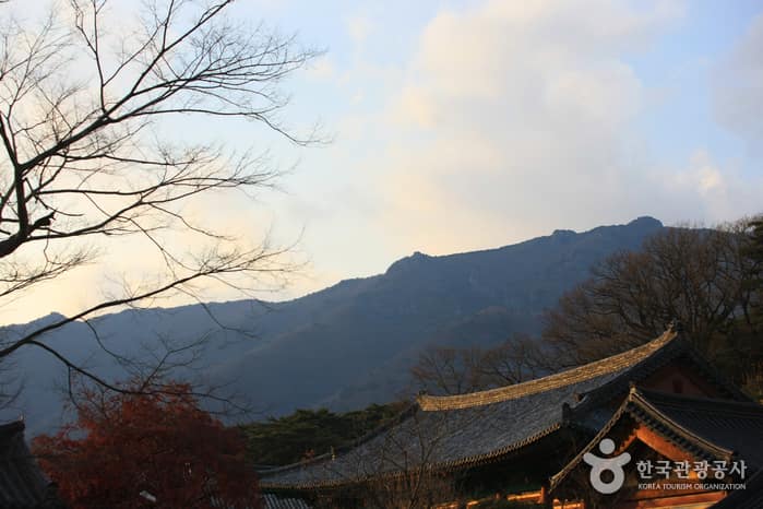 영축산_001
