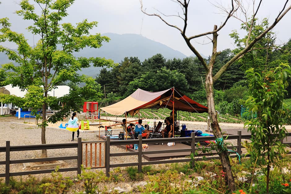 쇠꼴마을고고캠핑장_캠핑2