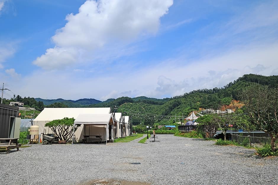 경기도_가평군_청춘캠핑장_전경 (2)