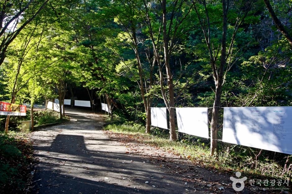 천태산 (11)