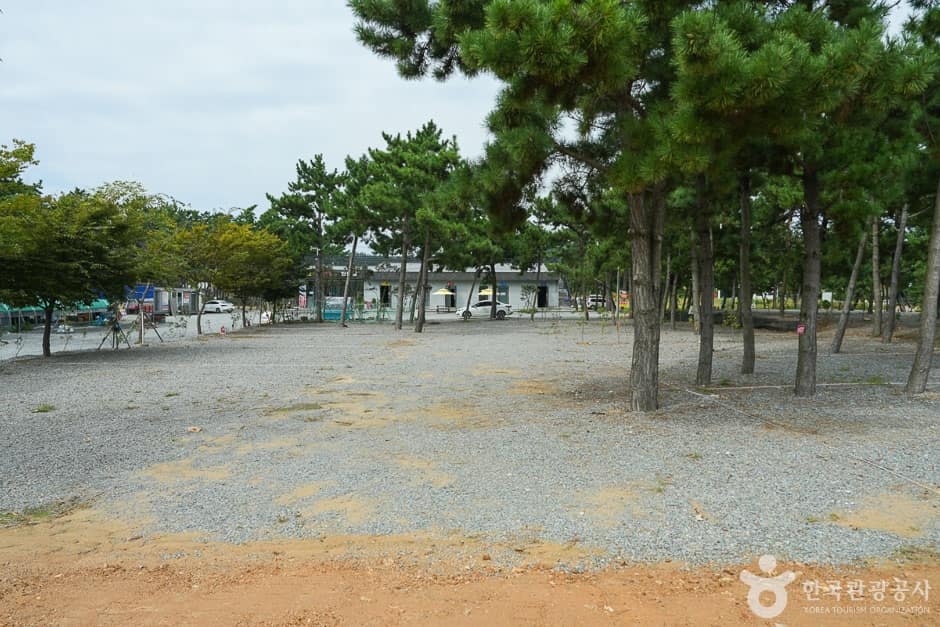 어은돌힐링야영장 (14)