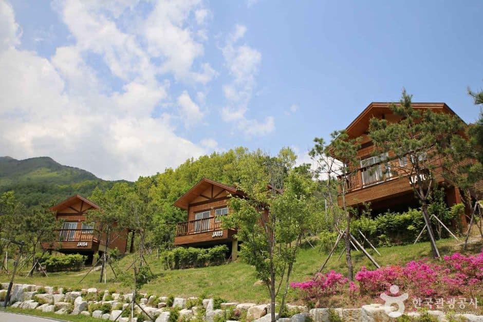 영주_국립산림치유원 (7)