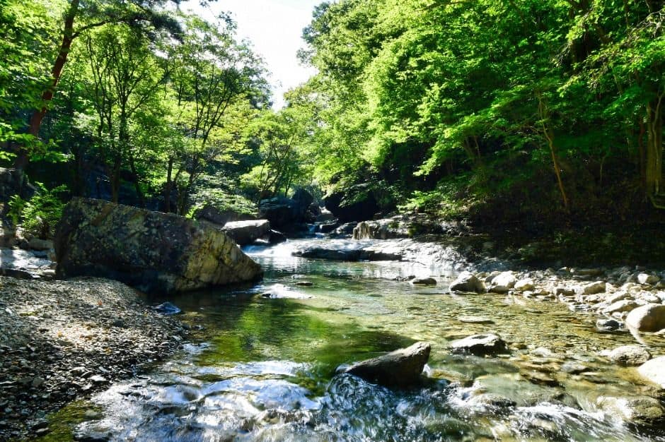 내원사계곡(양산) (2)
