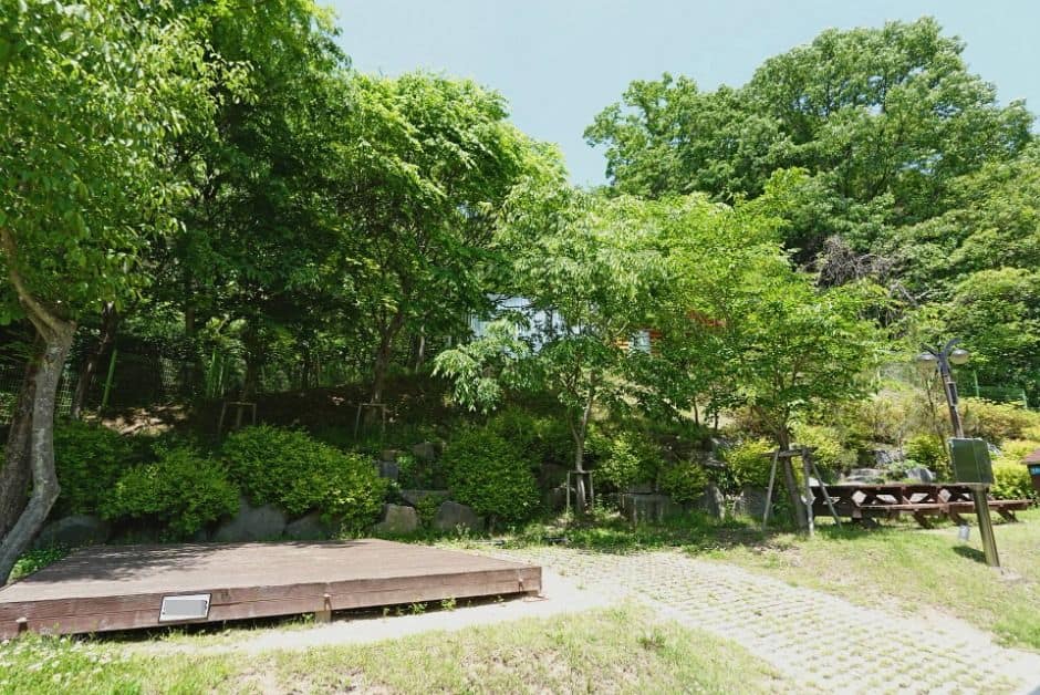 대구_팔공산국립공원 도학야영장 (15)