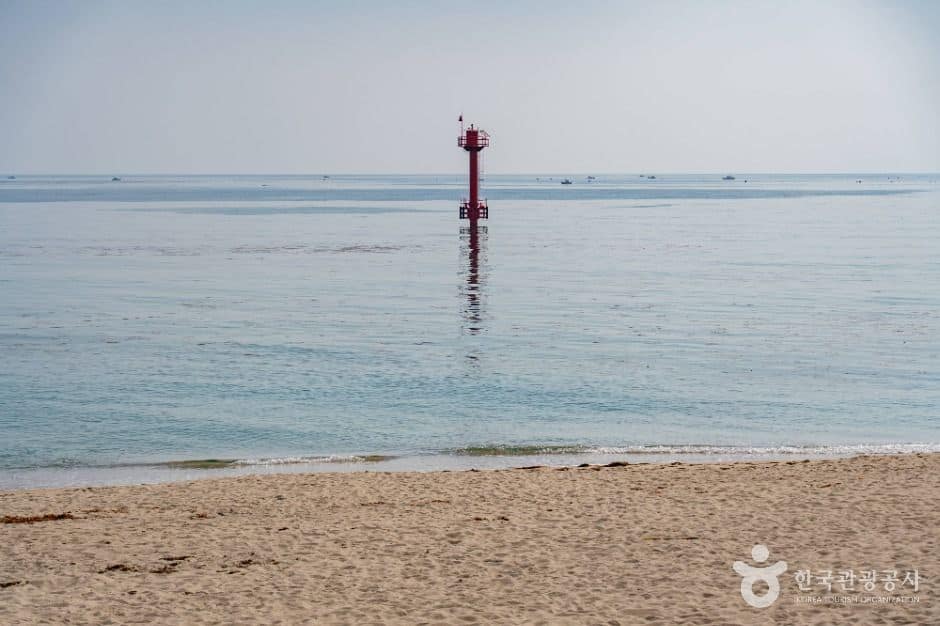 고성_봉포해변 (6)