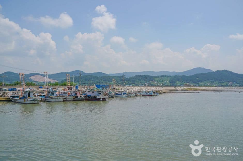 영광_설도항 (6)
