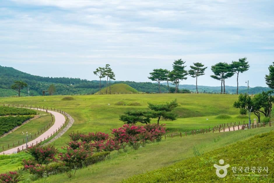 의성_의성 금성산 고분군 (5)