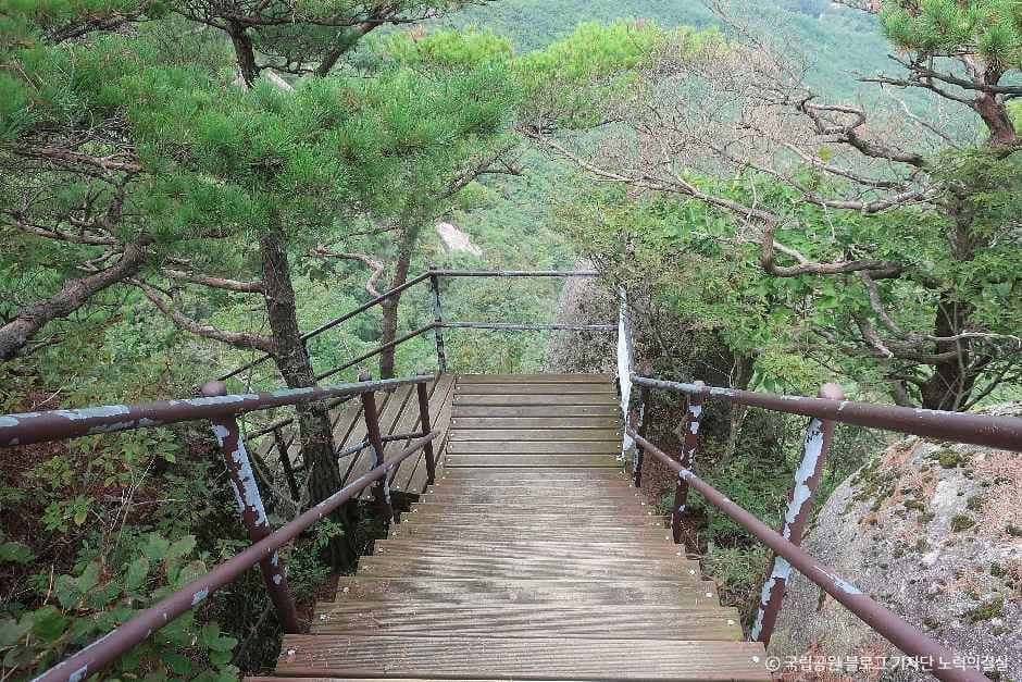 괴산_도명산 (5).jpg