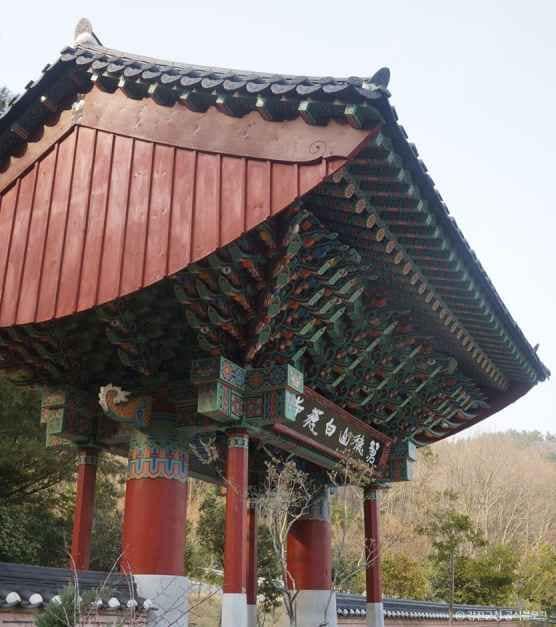 강진_백련사 동백나무 숲 (7).jpg