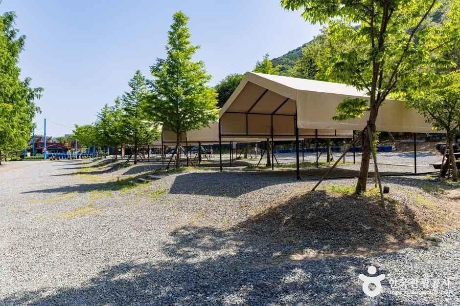제천_청풍호반 오토캠핑장 (6).jpg