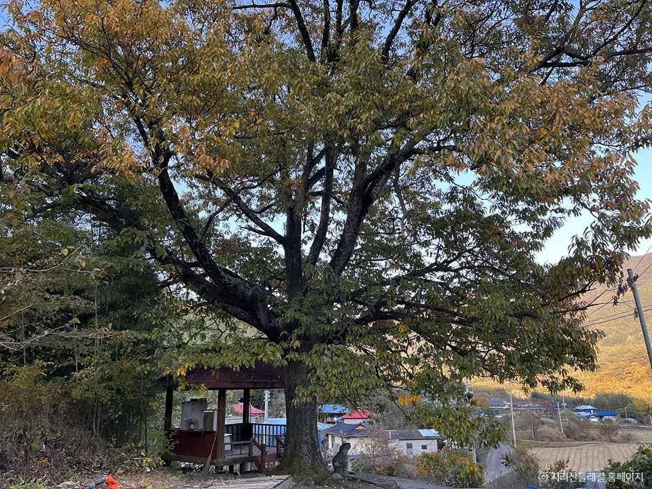 산청_[지리산둘레길] 덕산-위태 (6).jpg