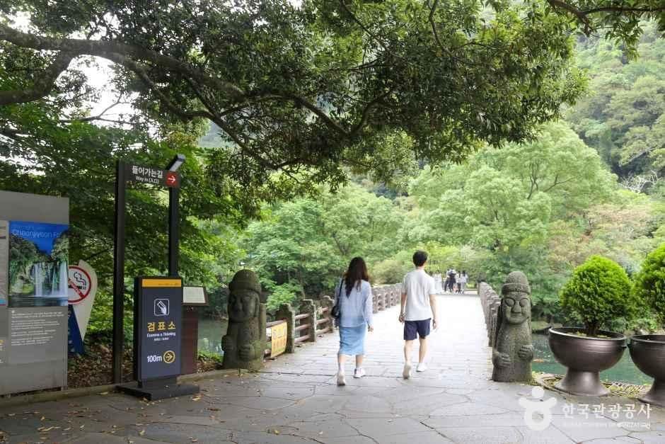제주_천지연폭포_6-1.jpg