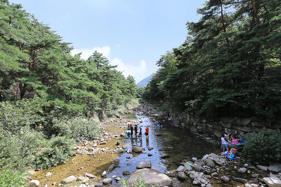 월악산국립공원 덕주야영장_계곡