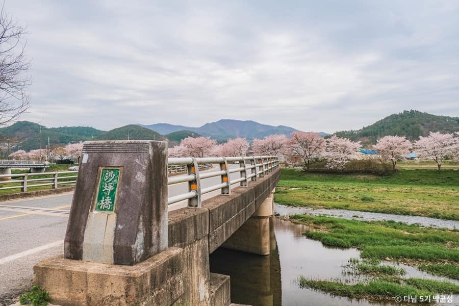 화순_사평천_평화로운 사평천 풍경