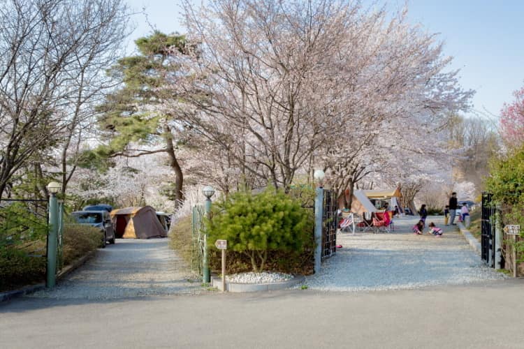 경기_안성시_용인비봉산캠핑장_풍경5