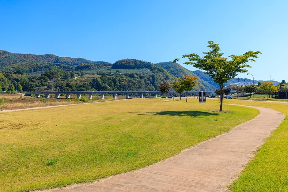경북_안동시_길안천지생태공원_산책로