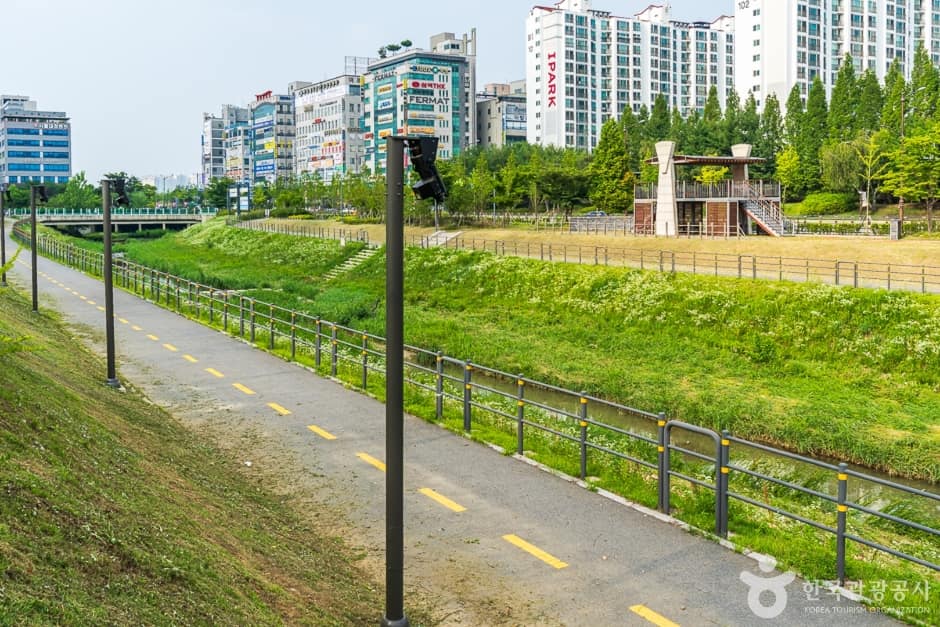 물총새공원 (9)