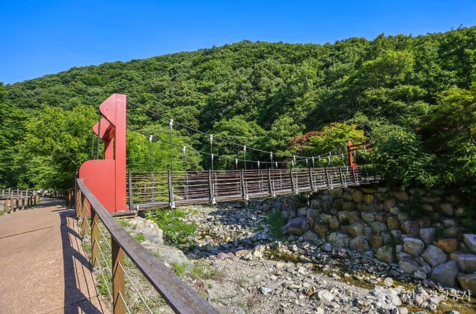 장안사계곡 (3)
