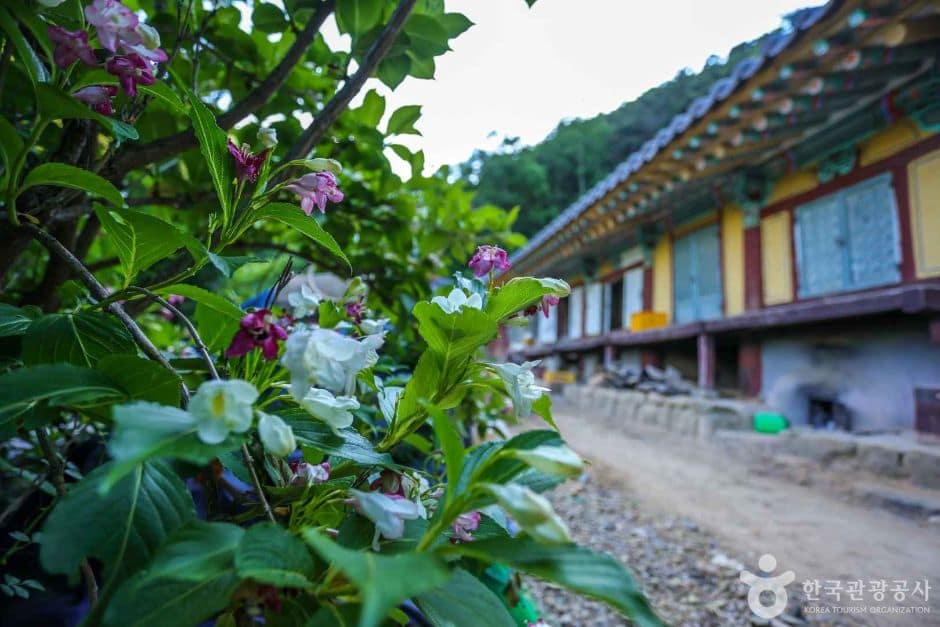 대구군위_압곡사(군위) (5)