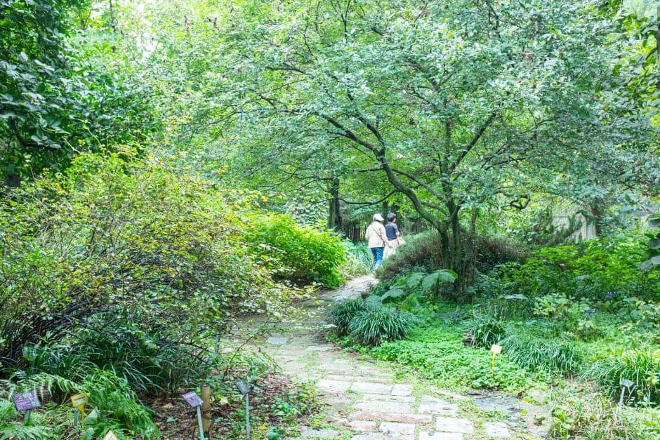 포항_기청산식물원 (4)