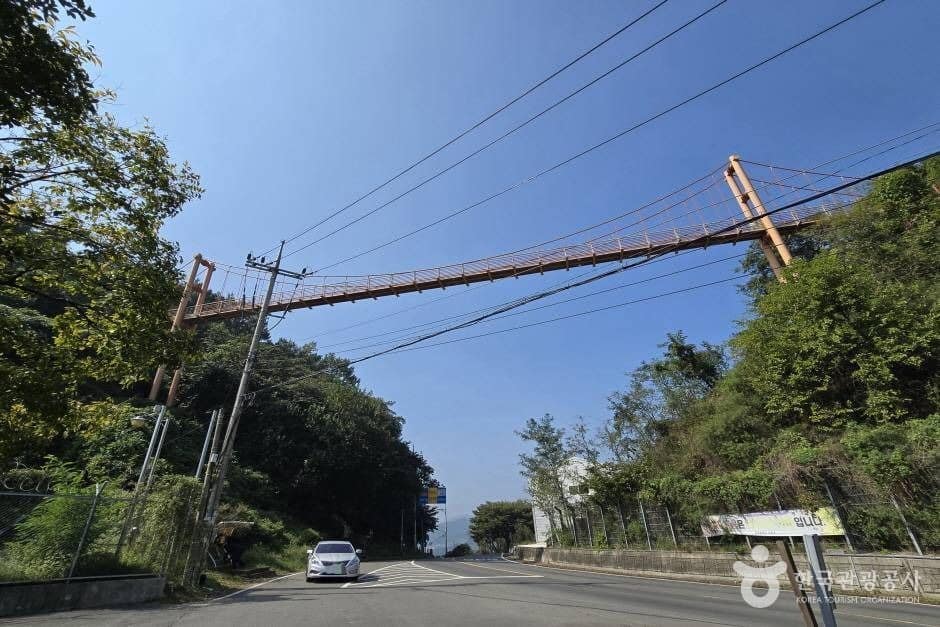 마금산_e (2)
