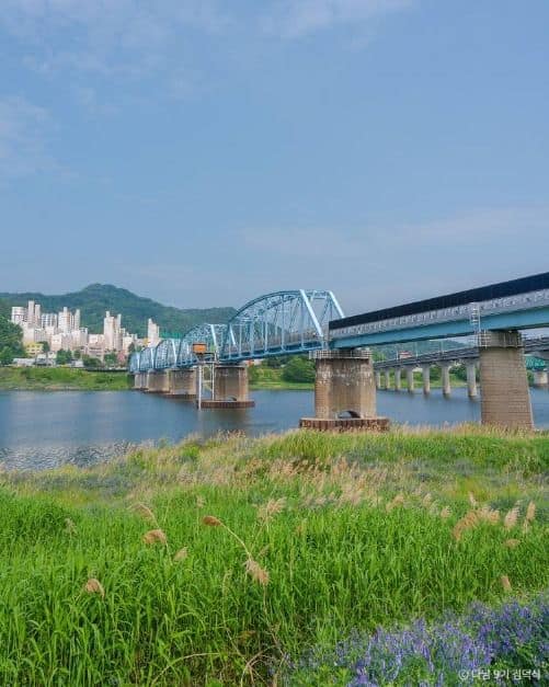 6월 호국보훈의 달 아이와 가볼만한 곳_호국의 다리_4-5