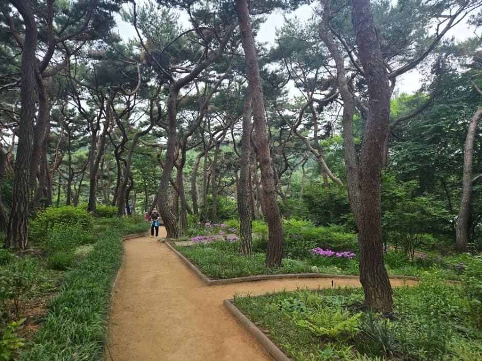서울_아차산 (6)
