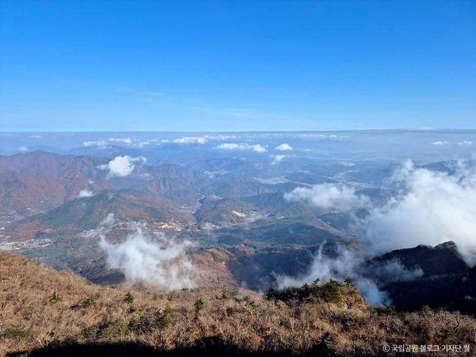 가야산국립공원(백운동 지구) (9)